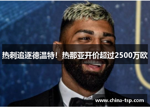 热刺追逐德温特！热那亚开价超过2500万欧