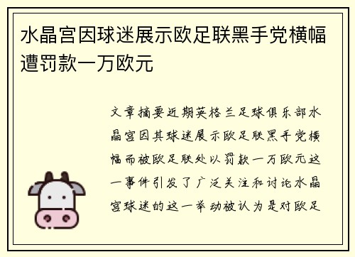 水晶宫因球迷展示欧足联黑手党横幅遭罚款一万欧元